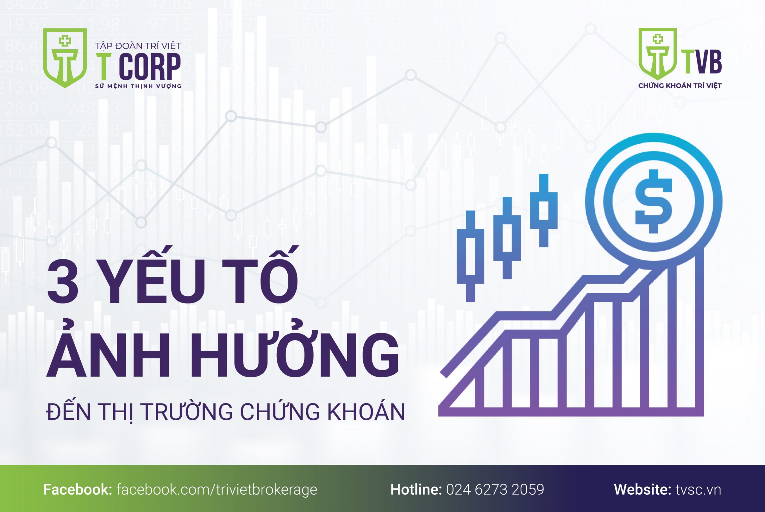 TUẨN4-TVB-FANPAGE (2)